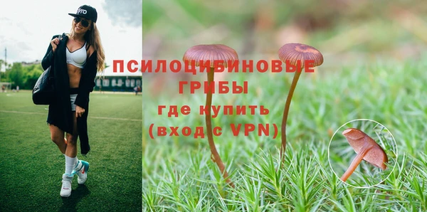 тгк Заводоуковск