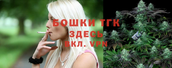 тгк Заводоуковск