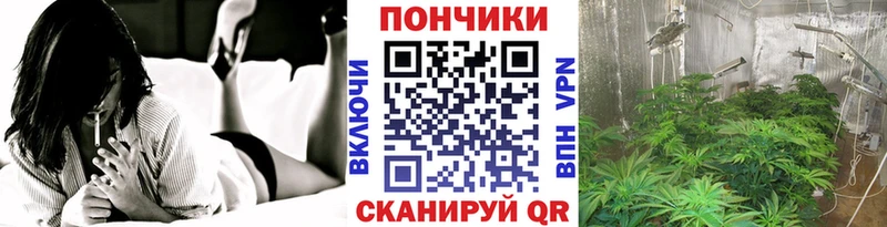 Шишки марихуана Amnesia  Купить закладки  Кушва 